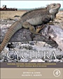 Cyclura: Natural History, Husbandry, and Conservation of West Indian Rock Iguanas - ISBN 9781437735161