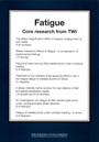 Fatigue: Core Research from TWI - ISBN 9781855735200
