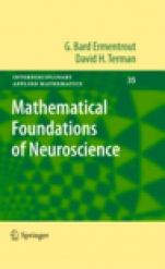 Mathematical Foundations of Neuroscience - ISBN 9780387877075