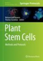 Plant Stem Cells - ISBN 9781071601822