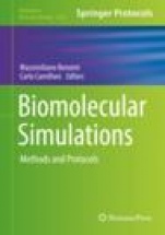 Biomolecular Simulations - ISBN 9781493996070