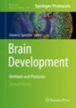 Brain Development - ISBN 9781493997312