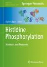 Histidine Phosphorylation - ISBN 9781493998838