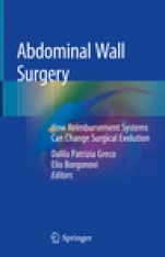 Abdominal Wall Surgery  - ISBN 9783030024253