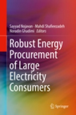 Robust Energy Procurement of Large Electricity Consumers  - ISBN 9783030032289