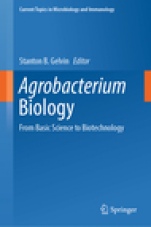 Agrobacterium Biology - ISBN 9783030032562