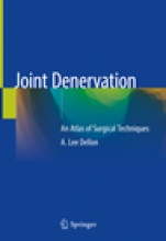 Joint Denervation - ISBN 9783030055370