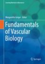Fundamentals of Vascular Biology - ISBN 9783030122690