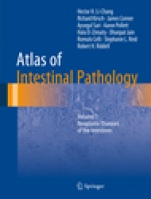 Atlas of Intestinal Pathology - ISBN 9783030123772