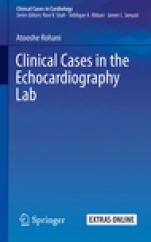 Clinical Cases in the Echocardiography Lab  - ISBN 9783030166175