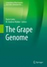The Grape Genome - ISBN 9783030186005