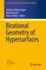 Birational Geometry of Hypersurfaces - ISBN 9783030186371