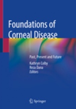 Foundations of Corneal Disease - ISBN 9783030253349