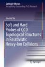 Soft and Hard Probes of QCD Topological Structures in Relativistic Heavy-Ion Collisions - ISBN 9783030254810
