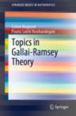 Topics in Gallai-Ramsey Theory - ISBN 9783030488963