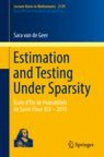 Estimation and Testing Under Sparsity - ISBN 9783319327730
