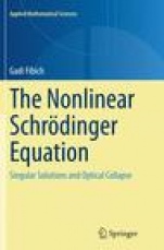 The Nonlinear Schrödinger Equation - ISBN 9783319375960