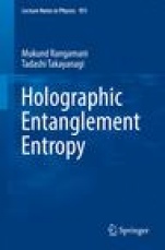 Holographic Entanglement Entropy - ISBN 9783319525716