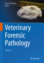Veterinary Forensic Pathology, Volume 1 - ISBN 9783319671703