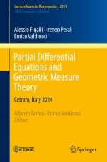 Partial Differential Equations and Geometric Measure Theory - ISBN 9783319740416
