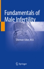 Fundamentals of Male Infertility - ISBN 9783319765228