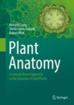 Plant Anatomy - ISBN 9783319772080
