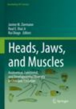 Heads, Jaws, and Muscles - ISBN 9783319935591
