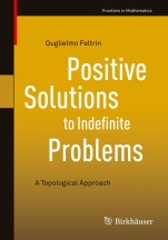 Positive Solutions to Indefinite Problems - ISBN 9783319942377