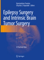 Epilepsy Surgery and Intrinsic Brain Tumor Surgery - ISBN 9783319959177
