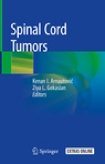 Spinal Cord Tumors - ISBN 9783319994376