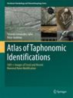 Atlas of Taphonomic Identifications - ISBN 9789401774307