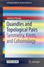 Quandles and Topological Pairs - ISBN 9789811067921