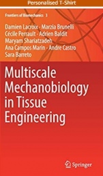 Multiscale Mechanobiology in Tissue Engineering - ISBN 9789811080746