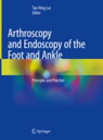 Arthroscopy and Endoscopy of the Foot and Ankle - ISBN 9789811304286