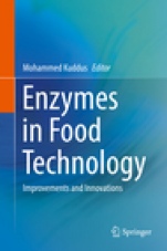 Enzymes in Food Technology - ISBN 9789811319327