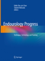 Endourology Progress - ISBN 9789811334641