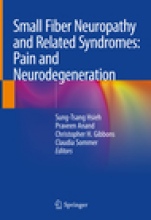 Small Fiber Neuropathy and Related Syndromes: Pain and Neurodegeneration - ISBN 9789811335457