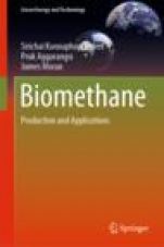 Biomethane  - ISBN 9789811383069