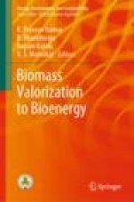 Biomass Valorization to Bioenergy - ISBN 9789811504099