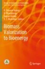 Biomass Valorization to Bioenergy - ISBN 9789811504129