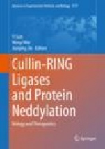 Cullin-RING Ligases and Protein Neddylation - ISBN 9789811510243