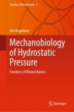 Mechanobiology of Hydrostatic Pressure: Frontiers of Biomechanics - ISBN - 9789819544042