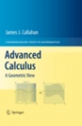 Advanced Calculus - ISBN 9781441973313