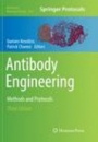 Antibody Engineering - ISBN 9781493993536