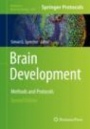 Brain Development - ISBN 9781493997312