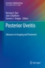 Posterior Uveitis - ISBN 9783030031398