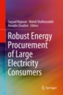 Robust Energy Procurement of Large Electricity Consumers  - ISBN 9783030032289