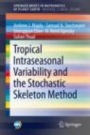 Tropical Intraseasonal Variability and the Stochastic Skeleton Method - ISBN 9783030222468