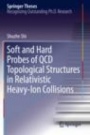Soft and Hard Probes of QCD Topological Structures in Relativistic Heavy-Ion Collisions - ISBN 9783030254841