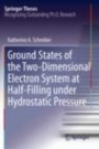 Ground States of the Two-Dimensional Electron System at Half-Filling under Hydrostatic Pressure - ISBN 9783030263249